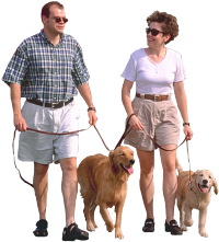 couple walking dogs